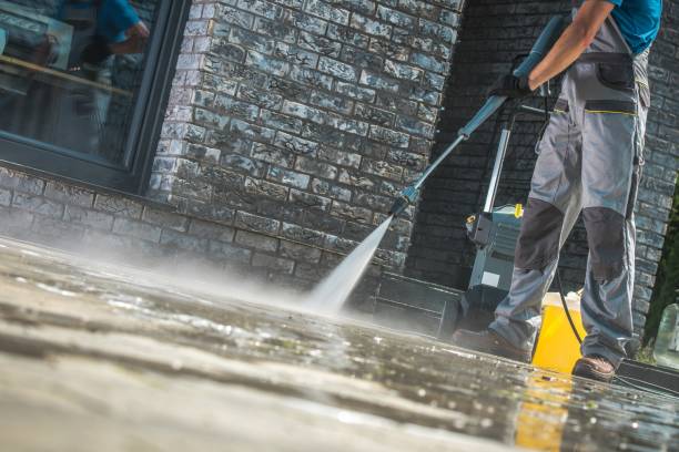 Best Driveway Pressure Washing  in Coal Grove, OH